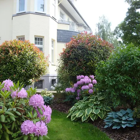 Bellevue 3*