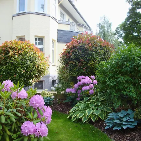 Bellevue 3*